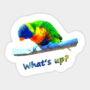 What's up? Sticker